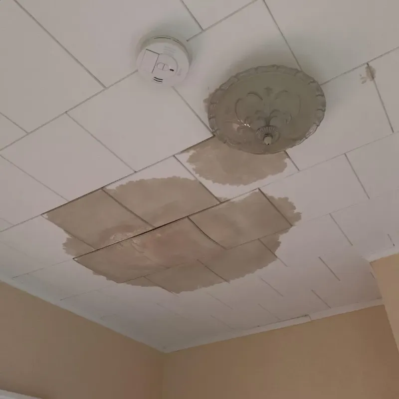 Ceiling Water Damage Repair in Franklin, PA