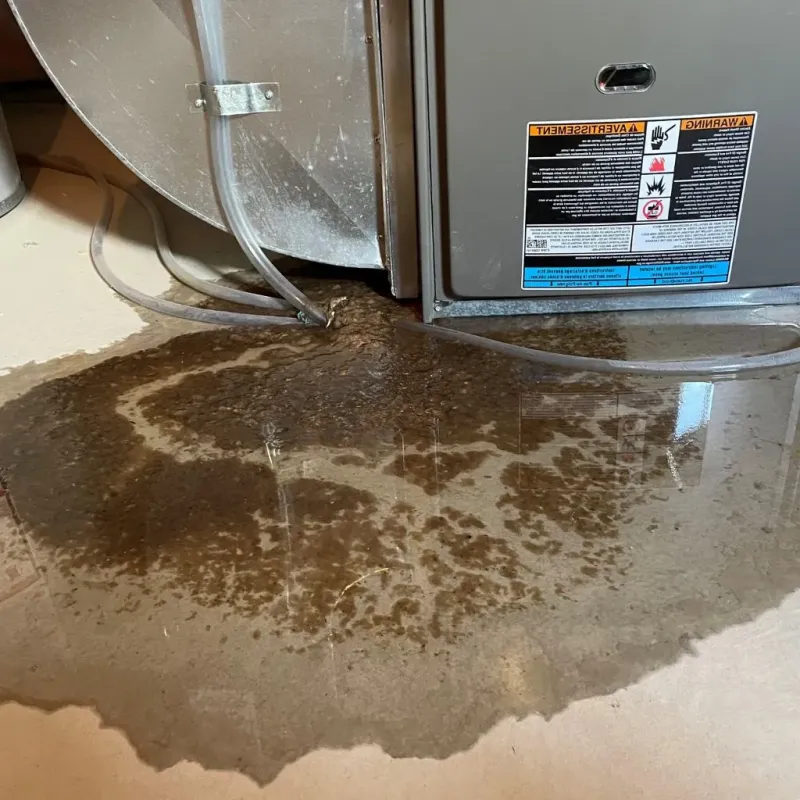 Pipe Burst and Leak Restoration in Franklin, PA