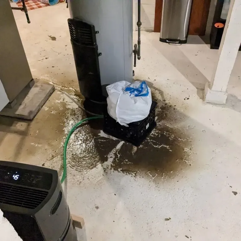 Sewage Backup Cleanup Service in Franklin, PA